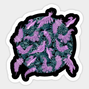 Ernst Haeckel Rose Nudibranch  on Cerulean Sea Squirts Sticker